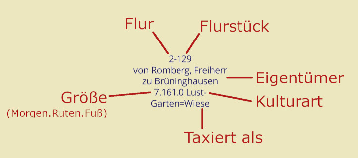 Dargestellte Informationen